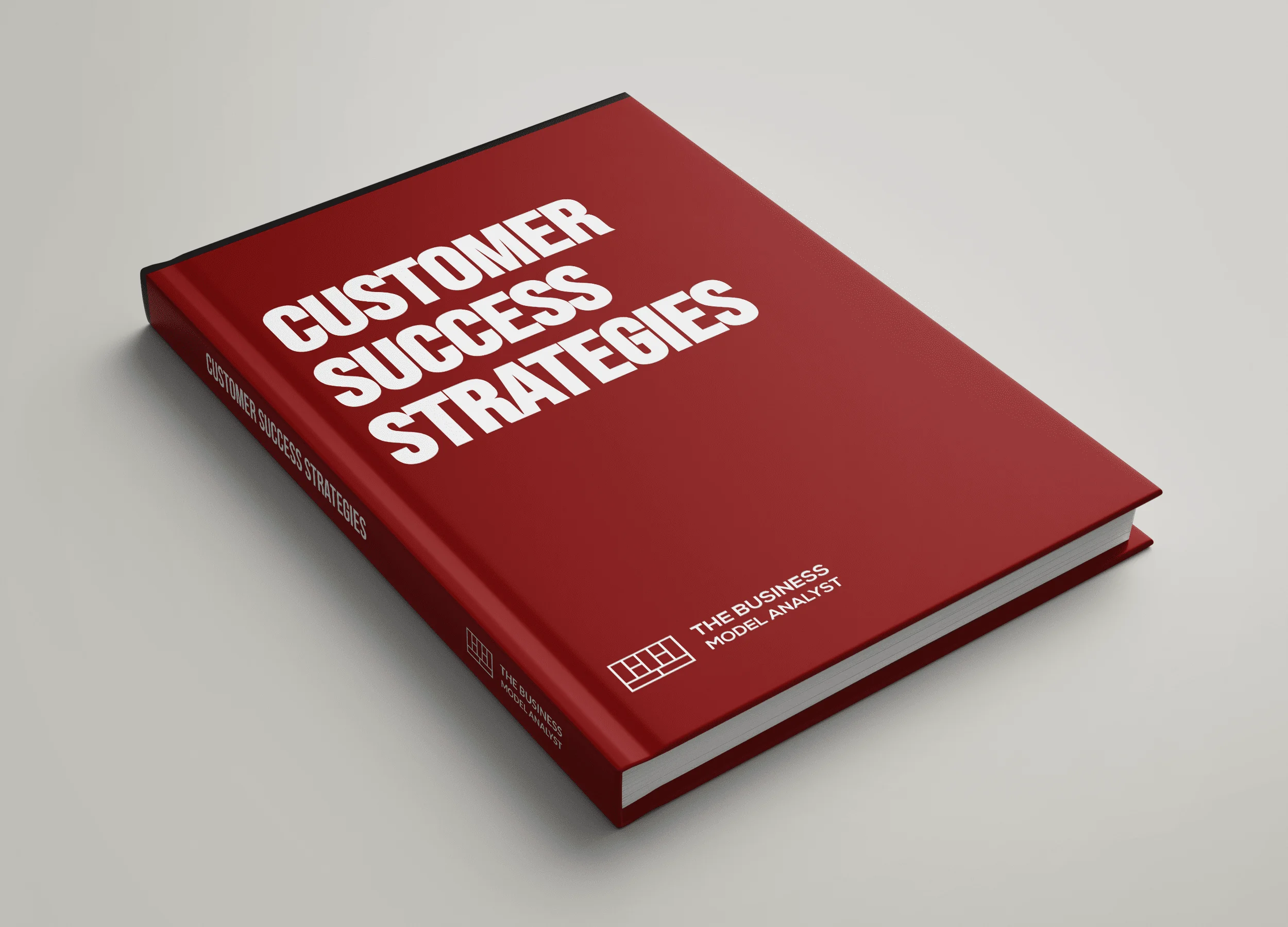 Customer Success Strategies Cover