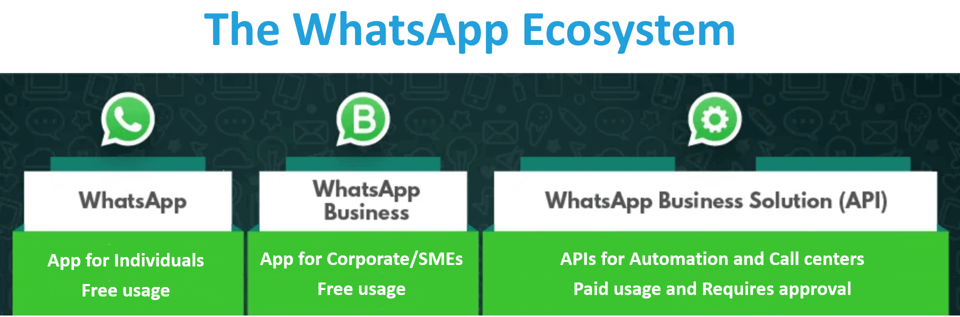 Чем отличается вацап. WHATSAPP Business API. WHATSAPP Business кнопка. Преимущества ватсап бизнес. Логотип WHATSAPP Business API.