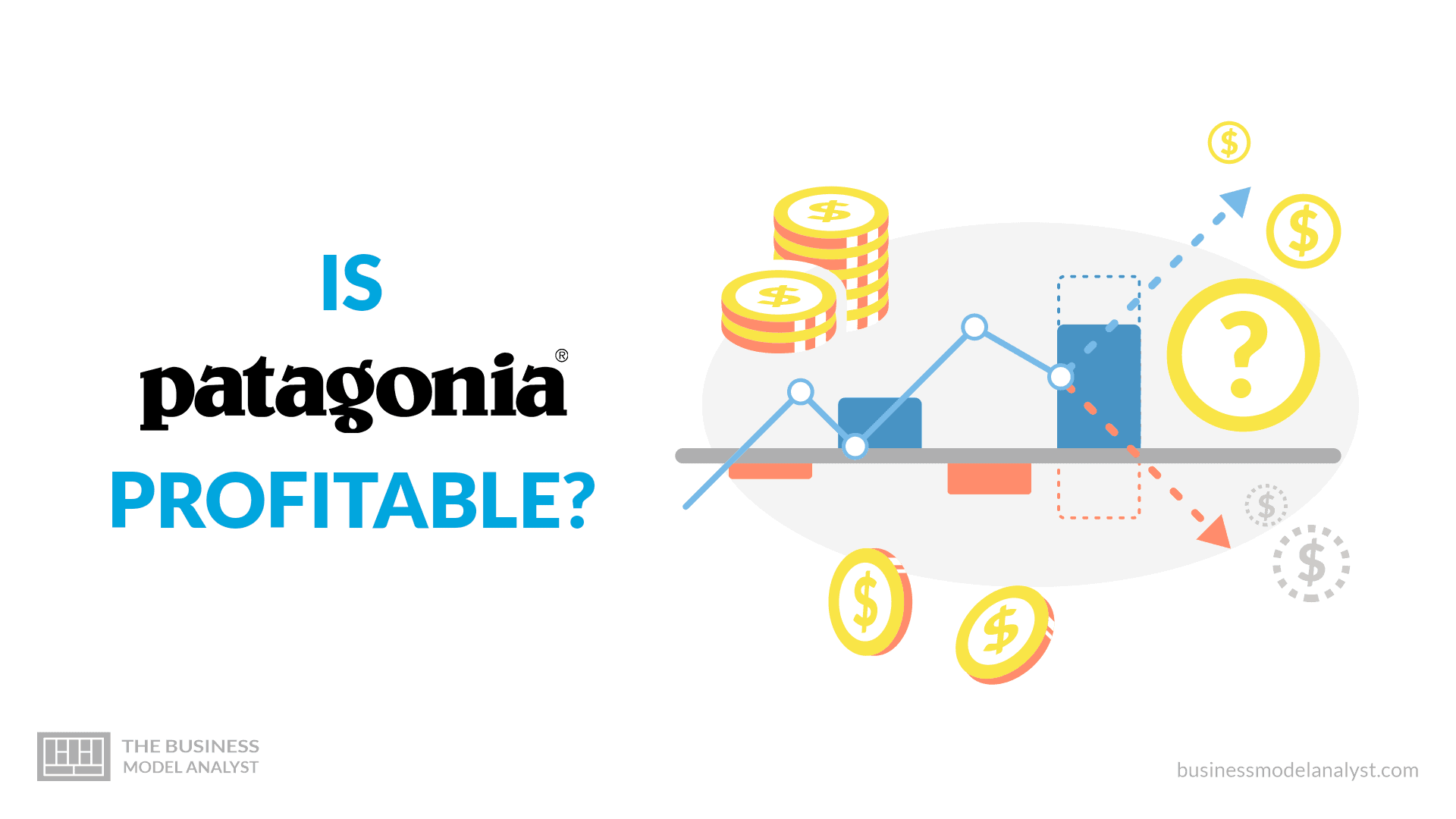 Patagonia Profitable?