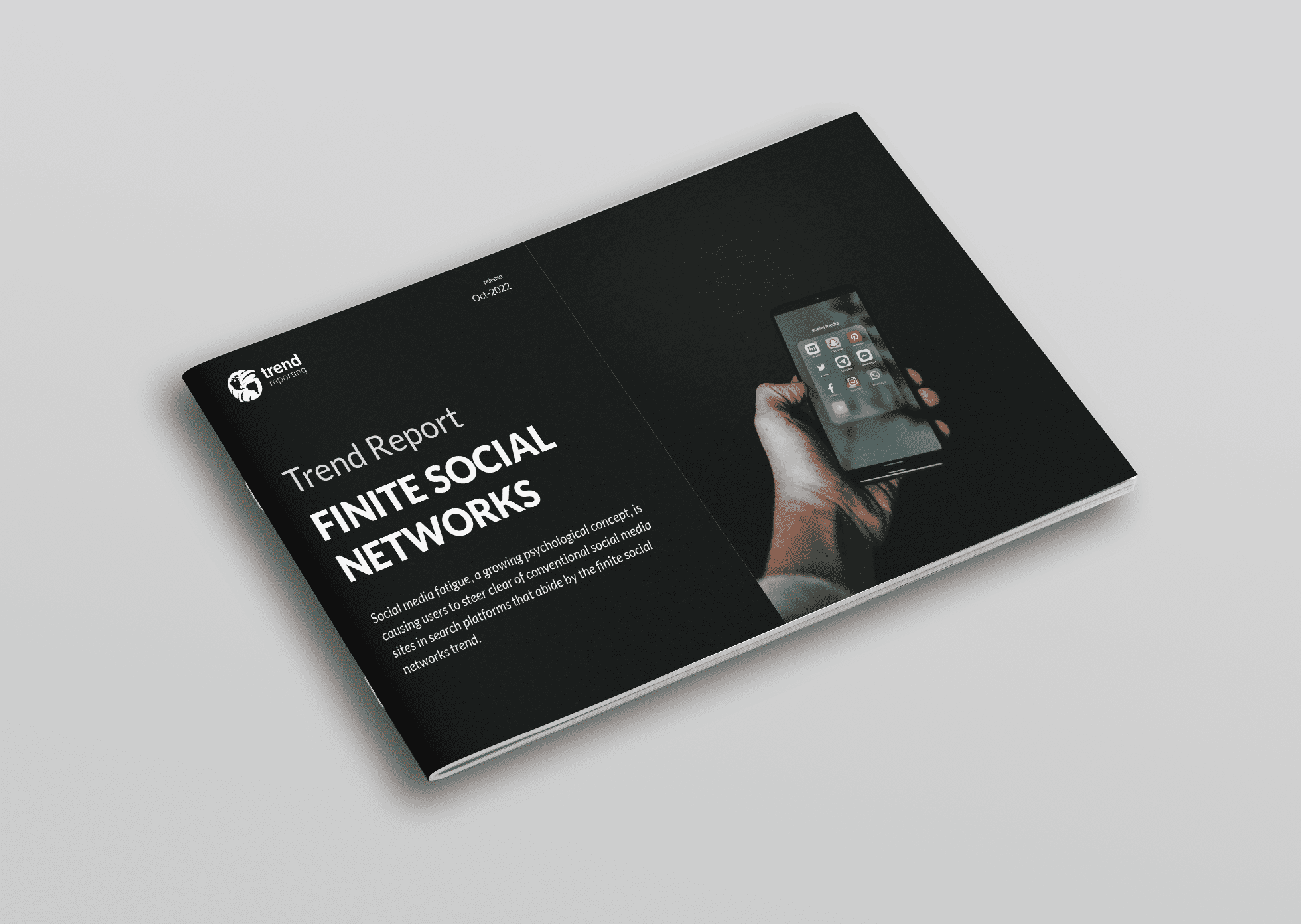Finite-Social-Networks-cover