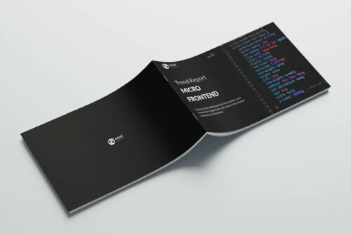 Micro-Frontend-backcover