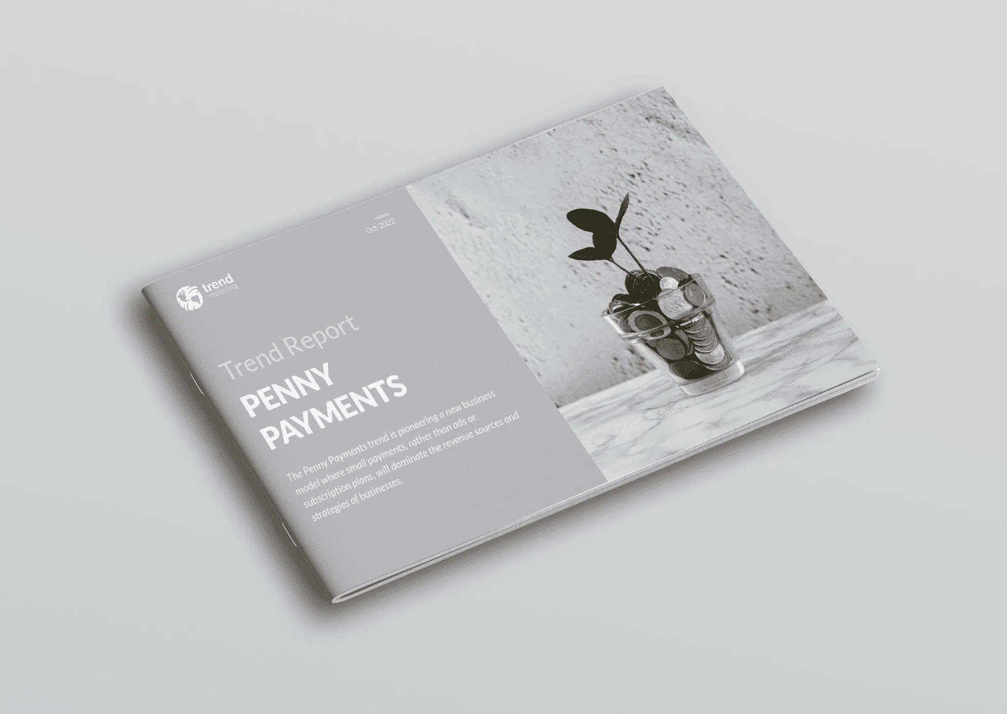 Penny-Payments-cover