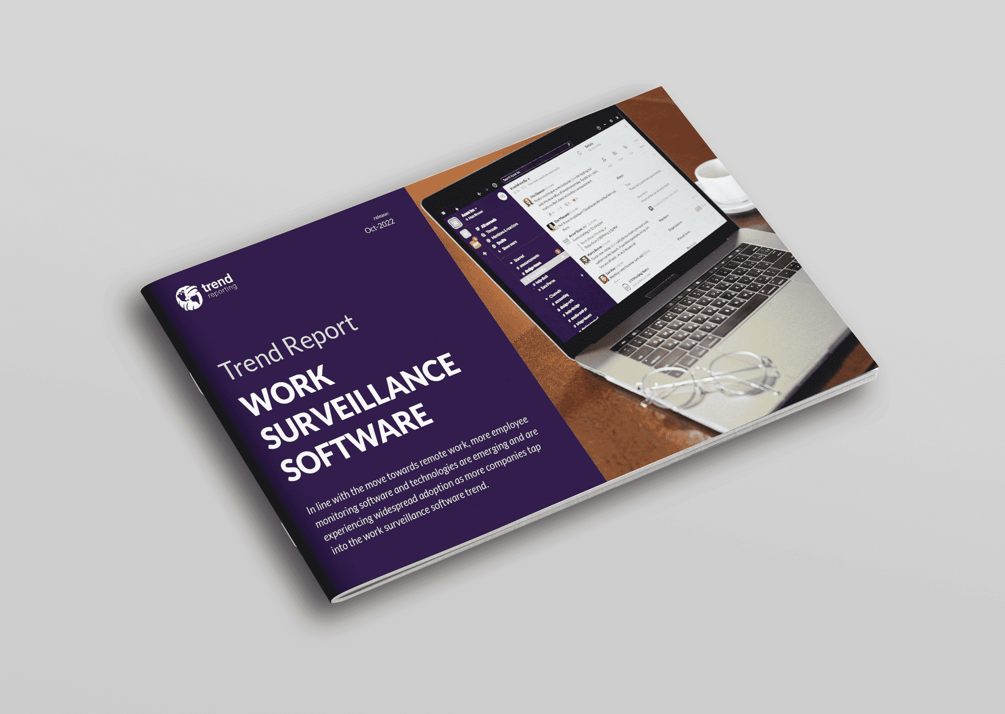 Work-surveillance-software-cover
