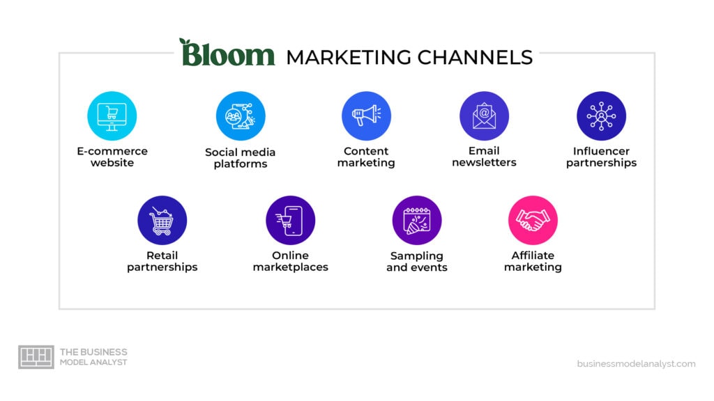 Bloom Greens & Superfoods Marketing Channels in Bloom Greens & Superfoods Marketing Strategy