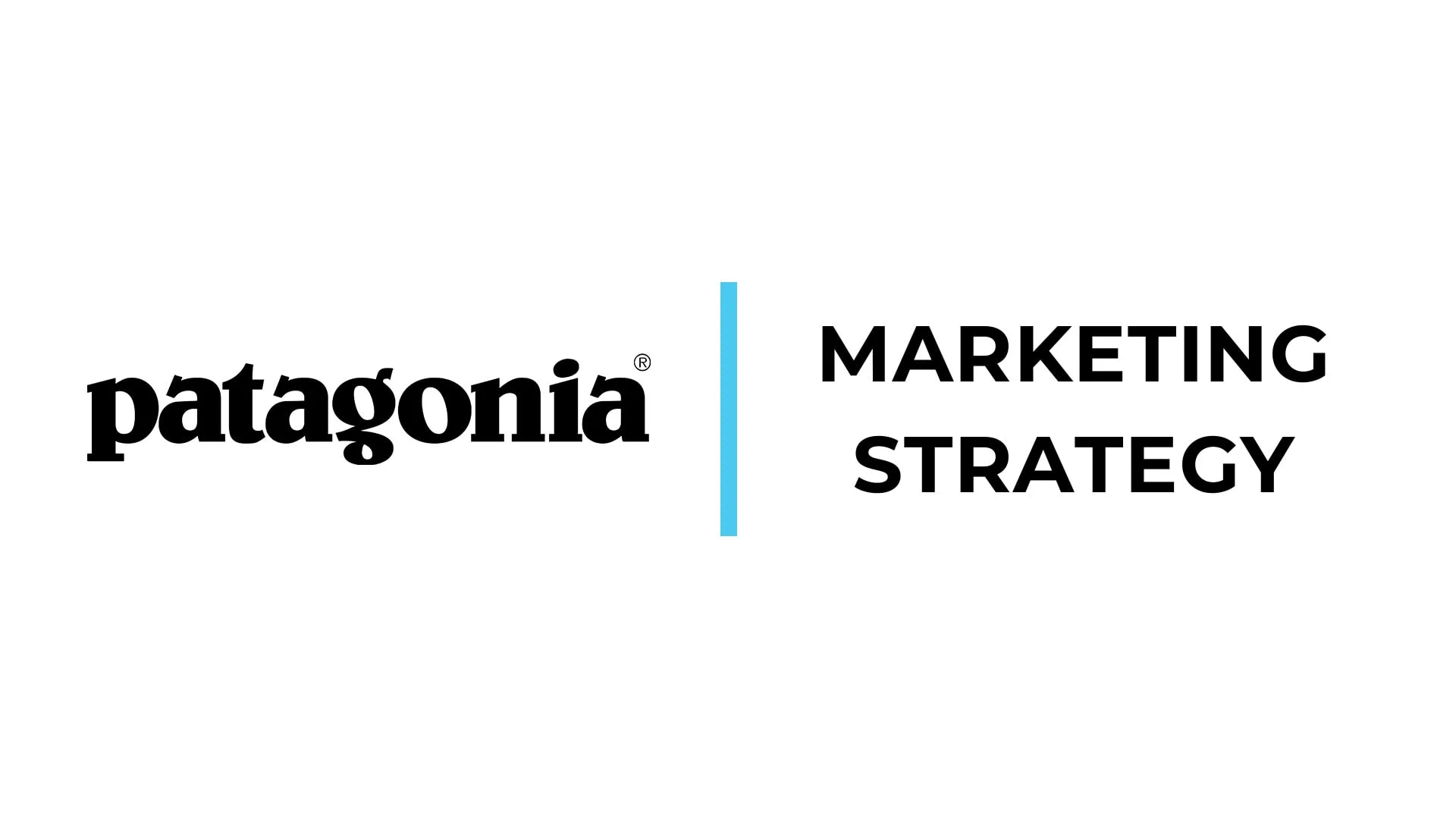Patagonia Marketing Strategy