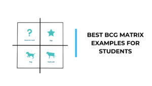 Ejemplos de la matriz BCG para estudiantes