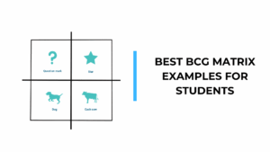 BCG Matrix Examples for Students