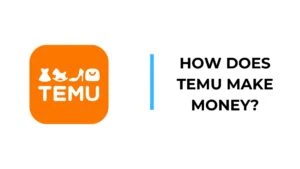 How Does TikTok Make Money