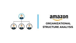 Amazon Organizational Structure