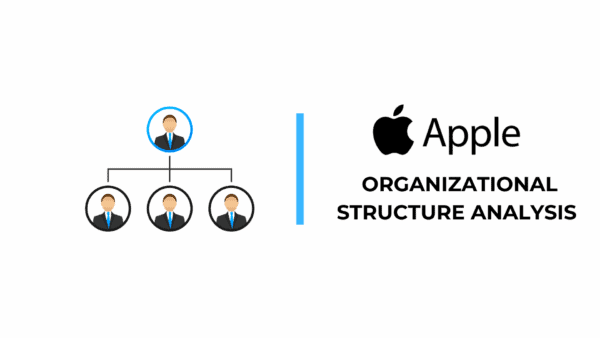 IBM Organizational Structure Analysis