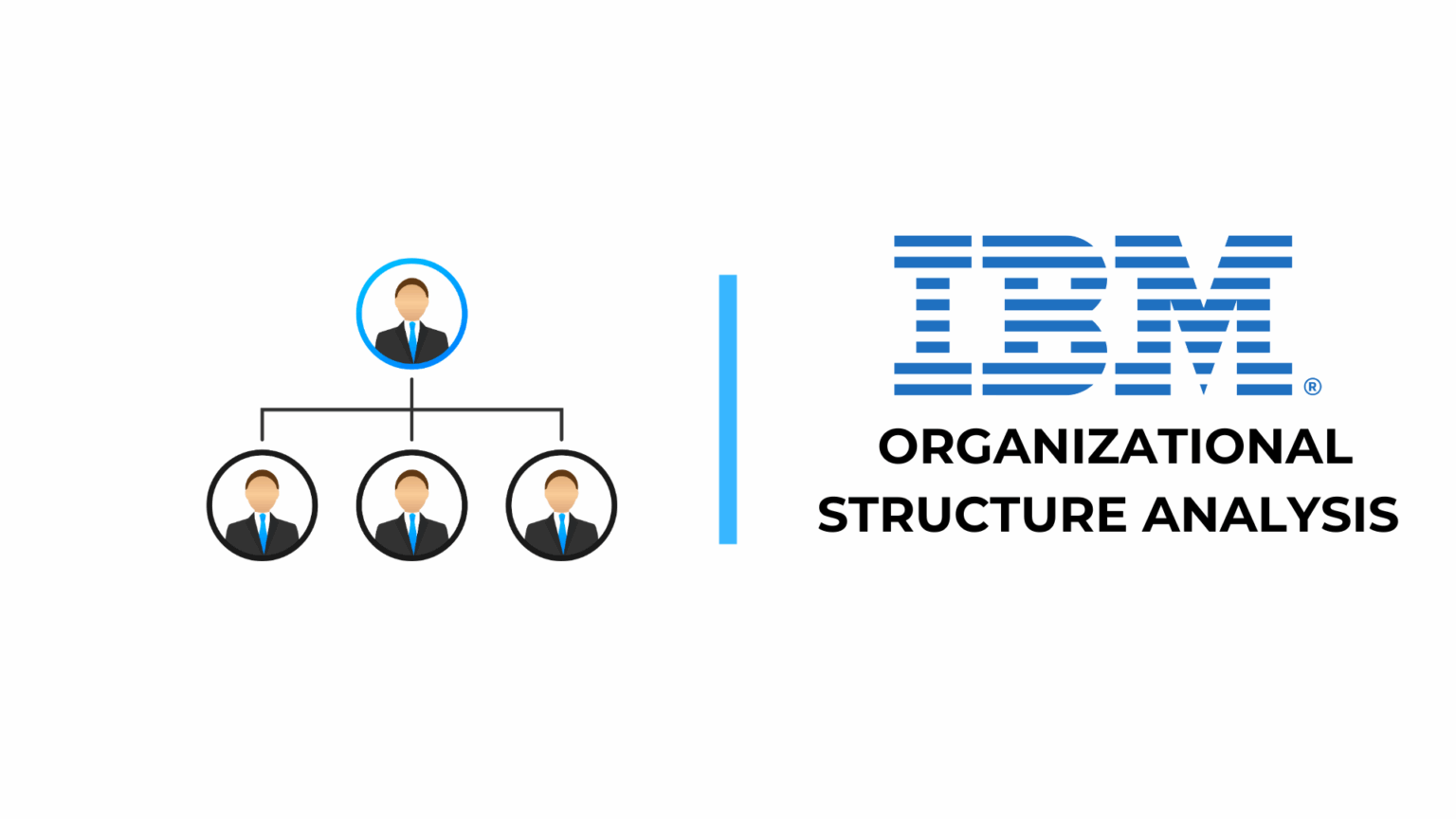 IBM Organizational Structure Analysis