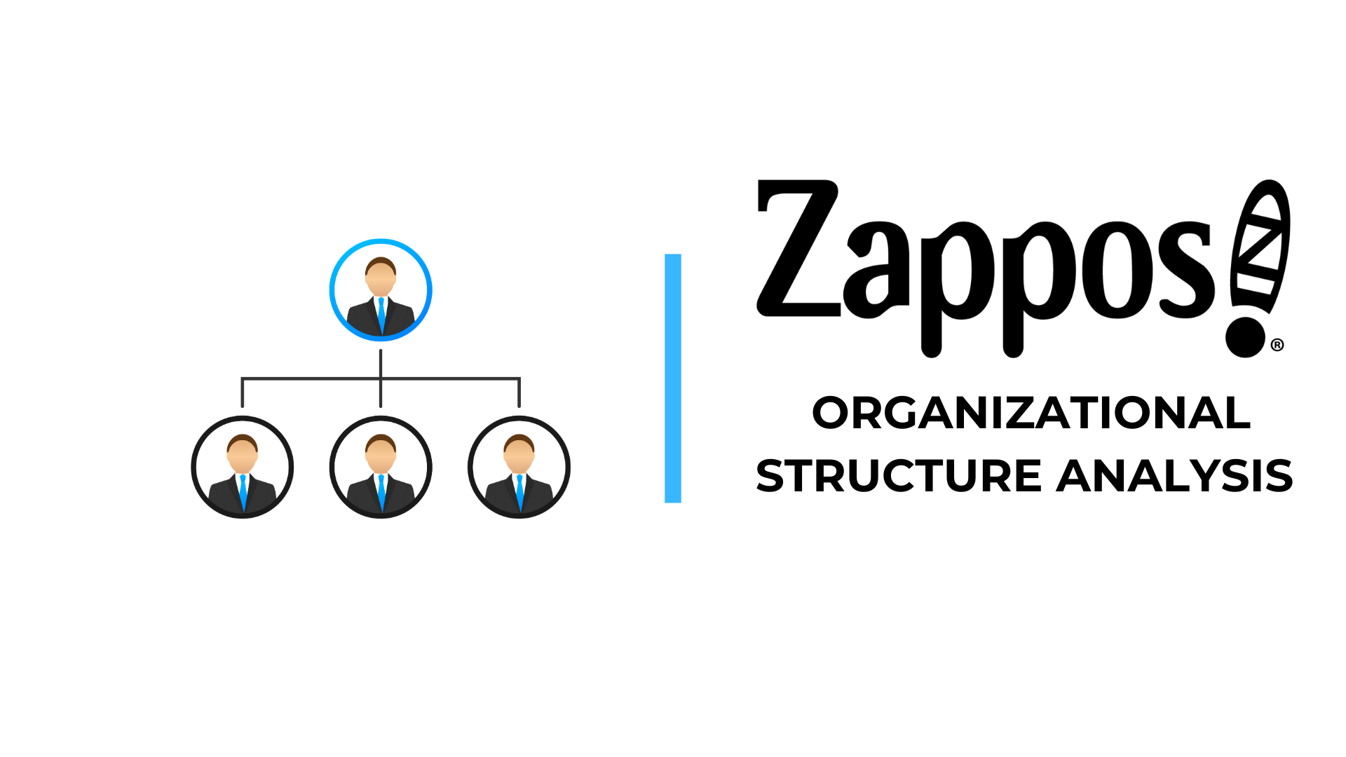 Zappos Organizational Structure