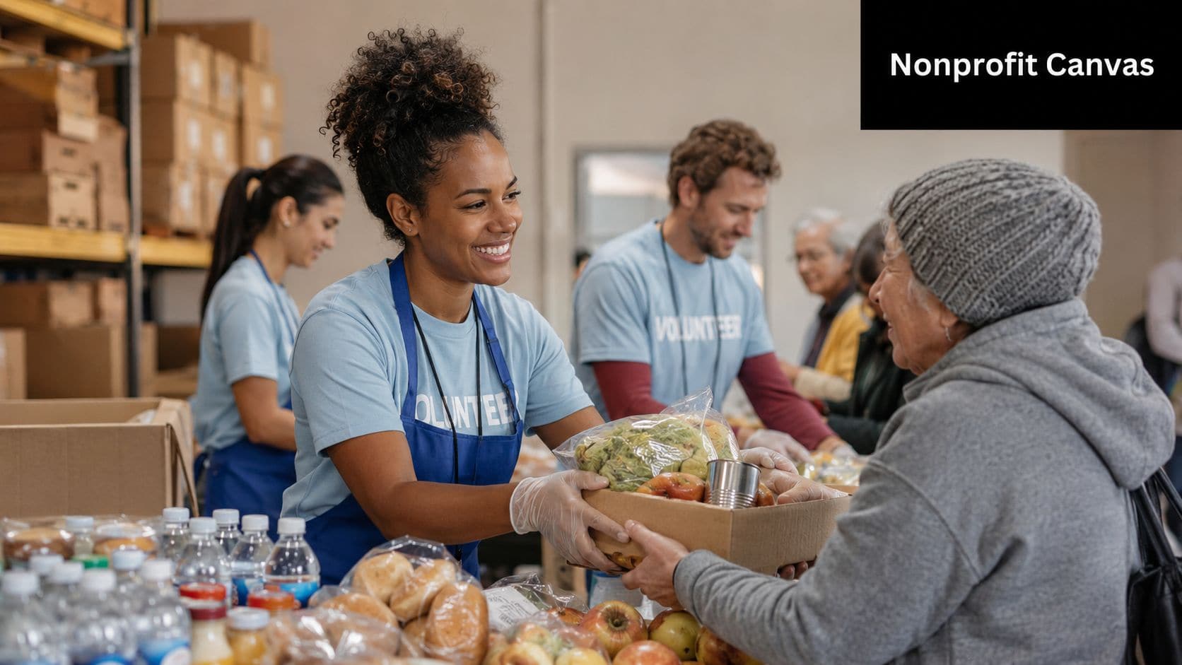 Sample Nonprofit Canvas A Case Study