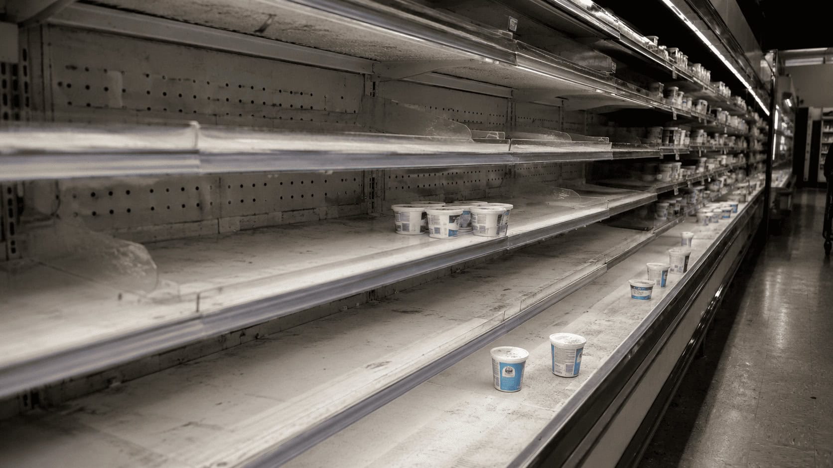 Mostly empty refrigerated grocery store shelf with a few remaining tubs of cottage cheese under fluorescent lighting.