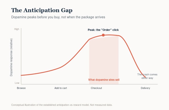Graph showing dopamine peaks before purchase in fake online stores.
